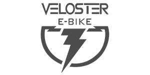 Logo - Veloster e-bike