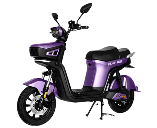 Duos Neo - Roxo 1