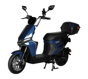 Kaktus Azul 2