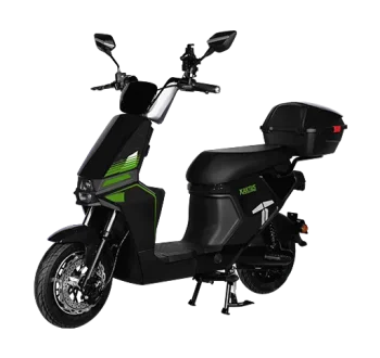 Kaktus Preto 2
