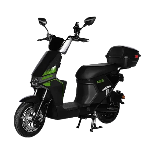 Kaktus Preto 2
