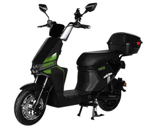 Kaktus Preto 2