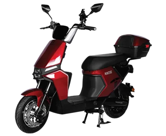 Kaktus Vermelho 2